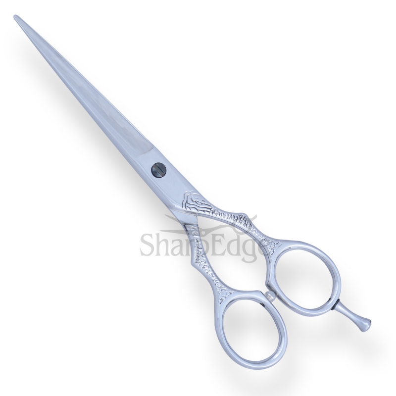Professional Hair Dressing Scissors 